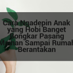 Cara Ngadepin Anak yang Hobi Banget Bongkar Pasang Mainan Sampai Rumah Berantakan afi-435.png